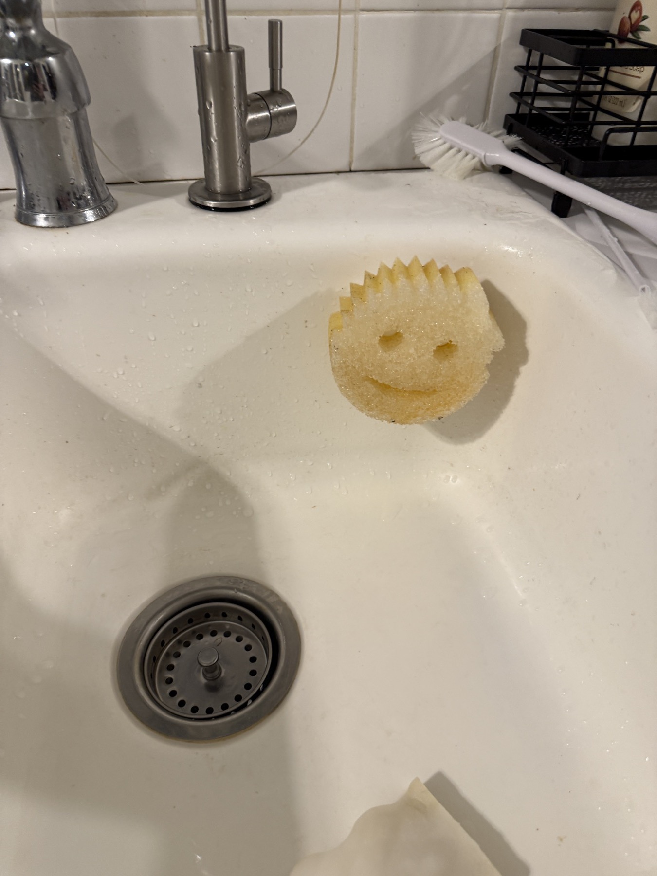 Clean sink, Scrub Daddy on his perch